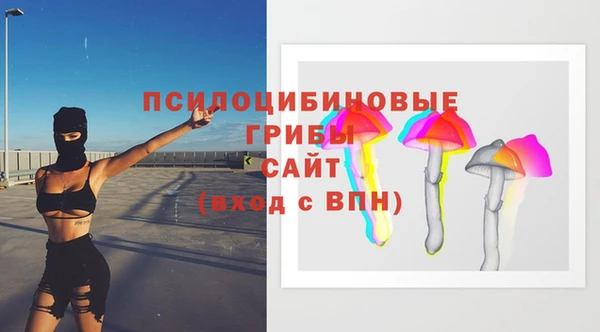 МДПВ Абинск