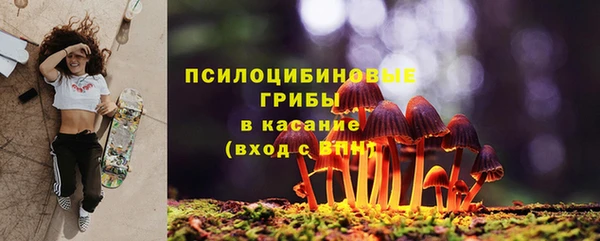 МДПВ Абинск