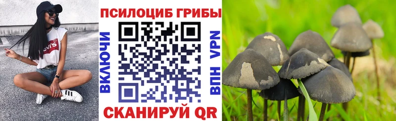 гидра ссылка Никольск Галлюциногенные грибы GOLDEN TEACHER